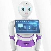 Exhibition hall Exhibition hall enterprise welcome to explain the guide robot