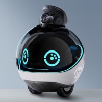 Pets accompany robots throughout the house mobile surveillance cameras