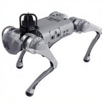 EdgeBoard robot dog